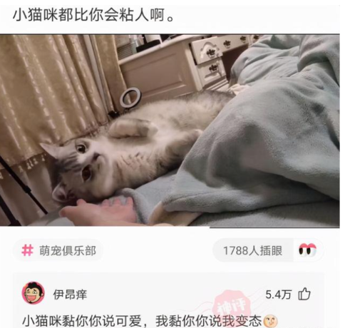 人走茶凉,好友生前努力赚钱养家,离世后妻子与男子相拥逛街