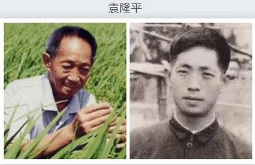 |为避免学生犯“花痴”，编辑老师用心良苦，来看看名人的真实颜值