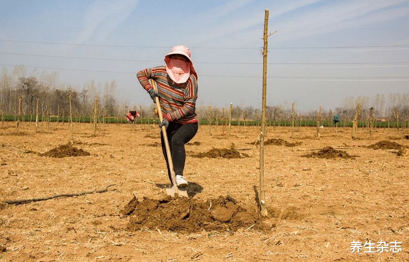甲状腺|比油盐还伤甲状腺！多所高校已呼吁停止食用，劝你尽早撤下餐桌