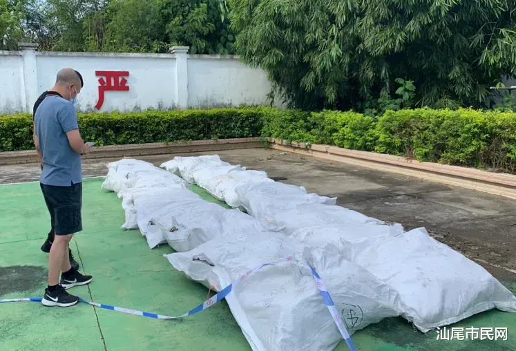 交易 打击整治冻品走私违法犯罪,抓获这些人...