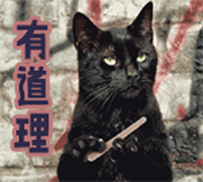 翡翠|这种石别看它长得丑，搞不好值几十几百万！