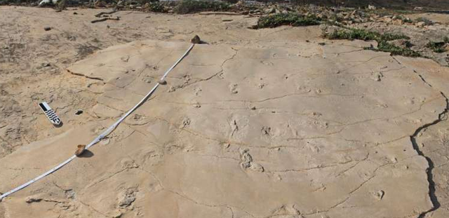 北极 人类发源地究竟是哪里？经过对化石的研究，争议“层出不穷”