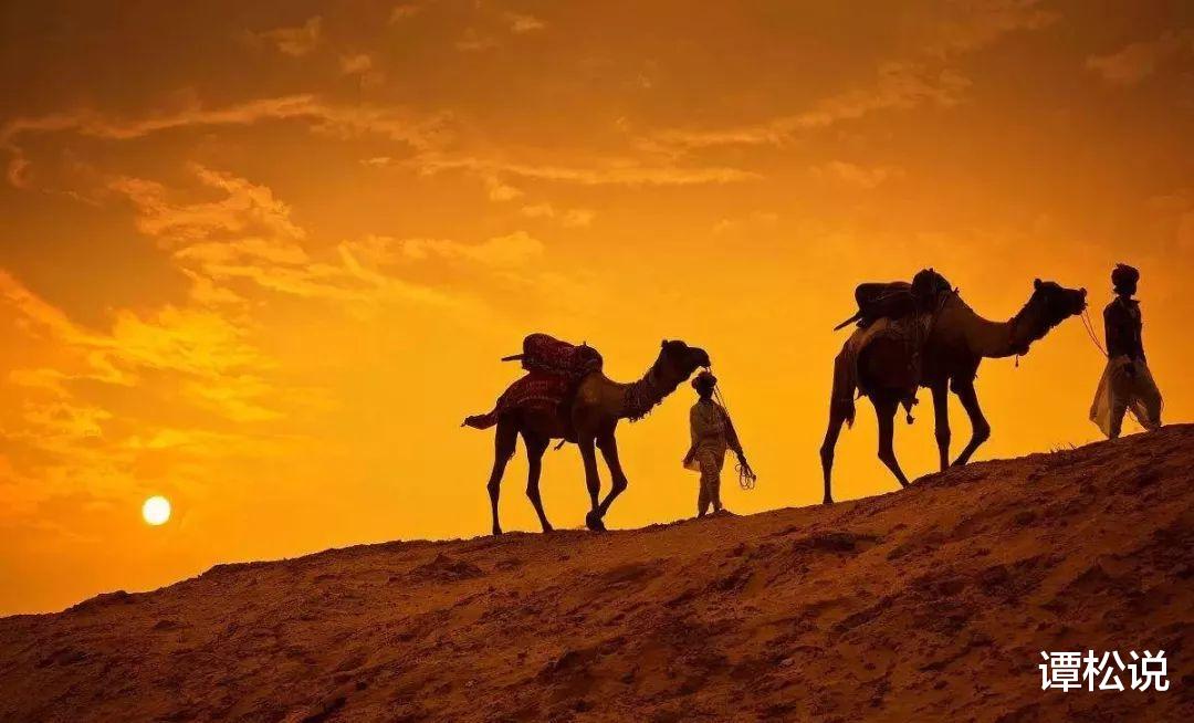  于月仙车祸原因猜测：骆驼不怕强光，未安装防护栏，或与名字有关