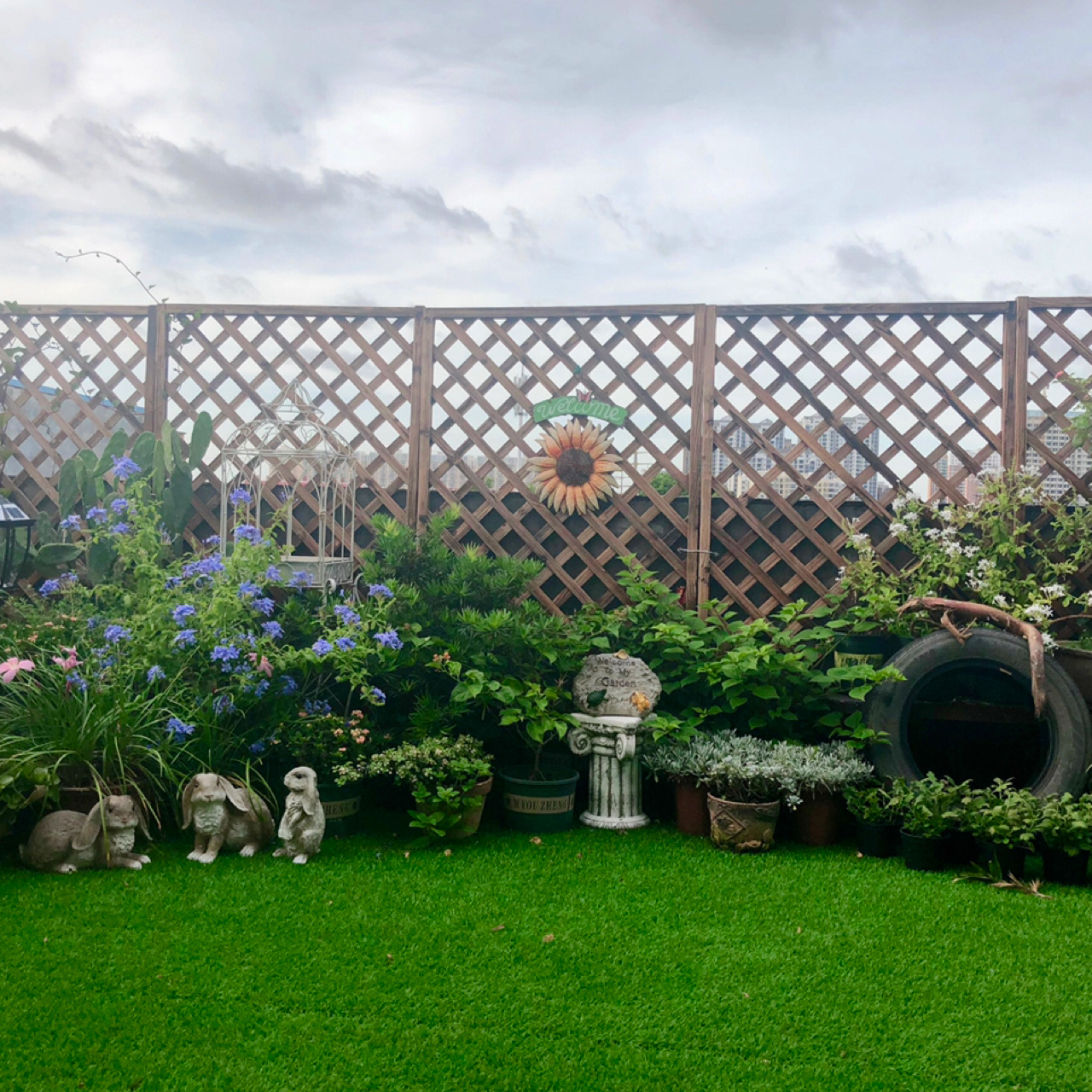 荒废多年的80㎡楼顶露台,DIY改造花园,从无到有满满的成就感了