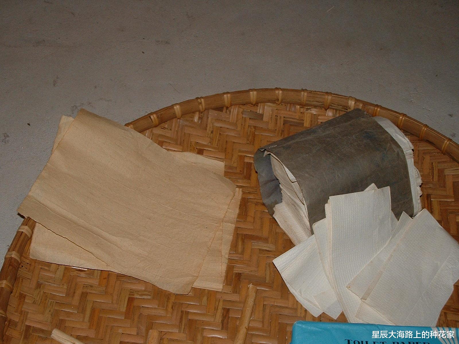 |为什么马桶不能把用过的纸一起冲掉？记住了：只有一种可以被冲走