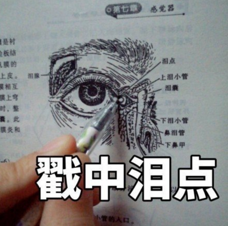 大树说教育|二本学校的“医学生”，毕业之后都去哪？听完过来人的话感到心酸