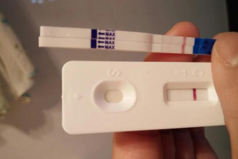 糖果的妈妈|大二怀孕、抱娃读哈佛,超前行为惹争议:女大学生这么好骗?