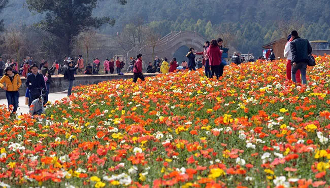 生肖|为什么说乡镇副职是人生仕途的一个坎？它到底“藏”着哪些真相？