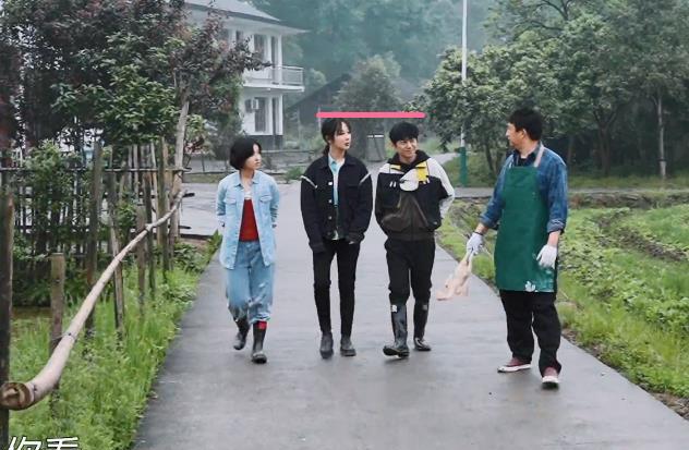 明星|167杨紫跟172的何炅同框，身高差反着来，怎么还缩着长呢