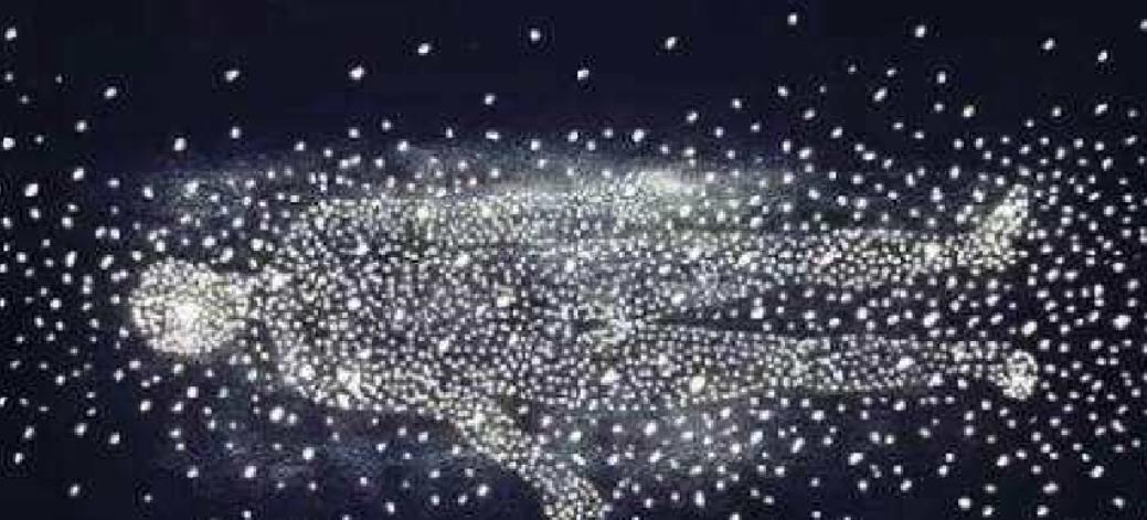 宇宙奥秘 人体就是一个宇宙,体内住着无数个“外来客”,为什么要这样说?