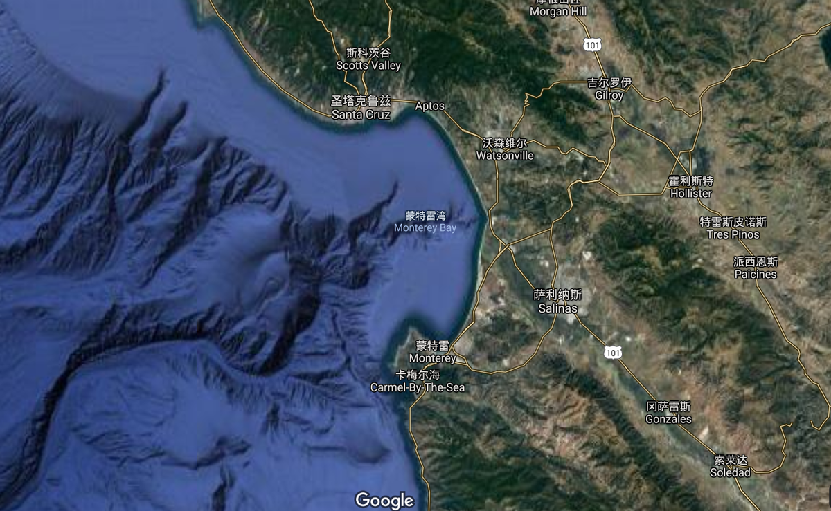 科学家 太平洋深海发现怪鱼,长得像须鲸,一生3变形,科学家已被搞懵