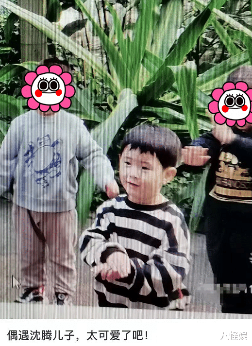 沈腾|沈腾儿子近照曝光，3岁小狮子身高猛蹿白白胖胖，像妈妈王琦