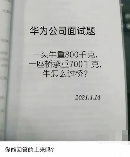 ICEY艾希|任正非：公司请你来不是让你学习的，我们没有责任培养你