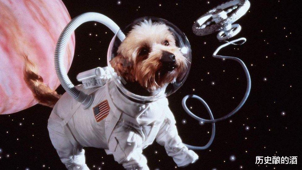 太空 那只被人类送上太空的猴子，后来怎么样了呢？结局让人心酸