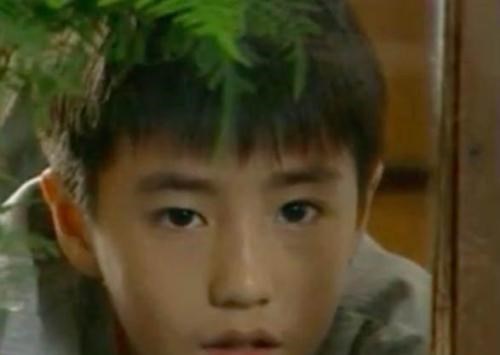 花颜有情兮 最低调的“星太子”杨玏，27岁入行混迹五年，却靠cp封神