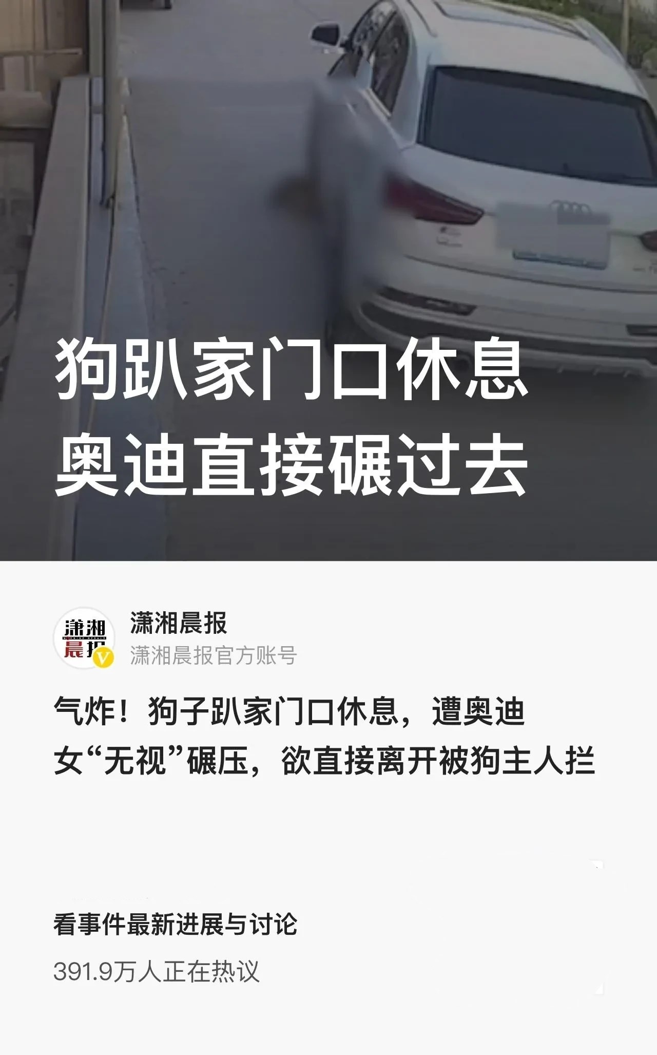 筱筱看社会 狠心！狗狗家门口休息乘凉，奥迪女司机径直从其身上压过