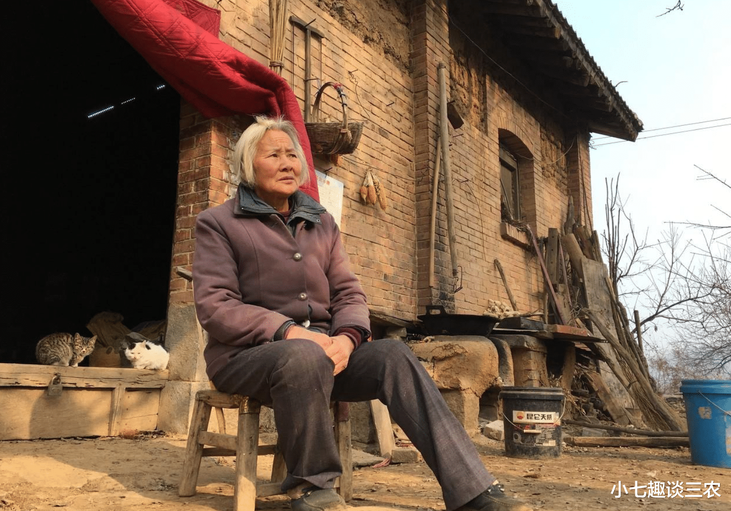 小七趣谈三农 2021年！农村养老保险费用迎来新变化，这2大问题农民要提前了解