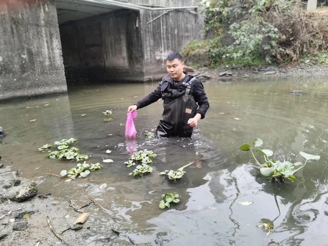 生活报 刑警办案时从7楼坠下!刚刚,最新消息来了