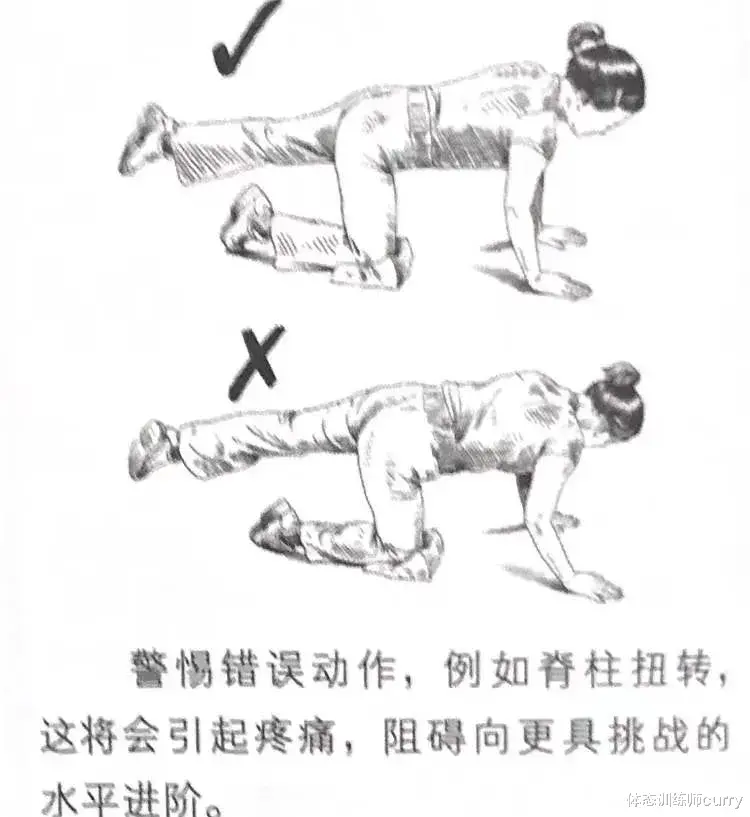 运动|腰痛康复的“三大必练动作”!