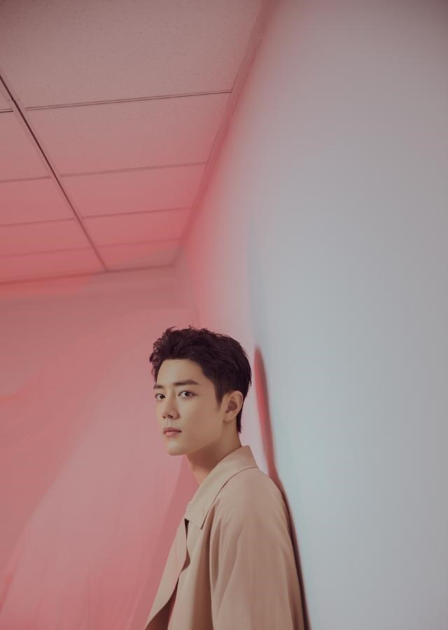 肖战|肖战成央视“宠儿”，官媒卡点发文，出席活动时间已出