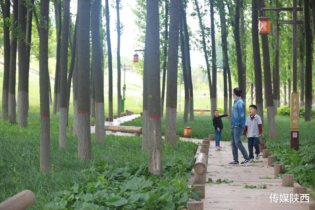 传媒陕西 春暖花开，太乙风雅绿道精彩呈现，真切感受到生态流入城市的惬意