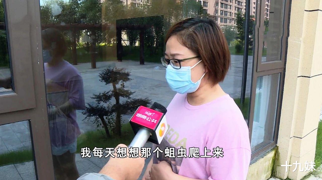 |刚装修好的房子变成“粪坑”，业主欲哭无泪：开发商应赔偿我损失