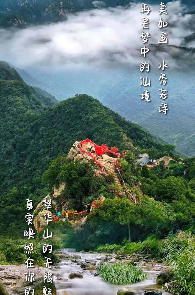 曲江新区 春天→夏天！前方到站秦岭绿色画廊