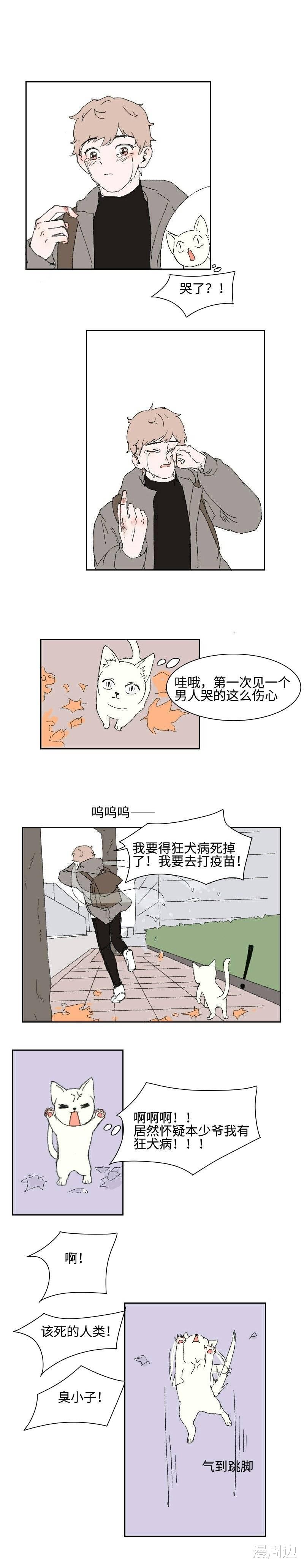 acgn漫评|「短篇漫画」回家路上捡了只猫（中）