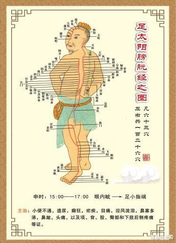 肠胃|五脏六腑对应经络养生特点及气血运行规律