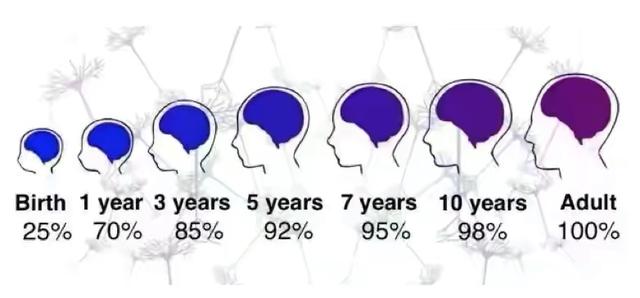 凝妈悟语|孩子智力高低，3岁前从手就能看出“端倪”，孩子动手越多越聪明