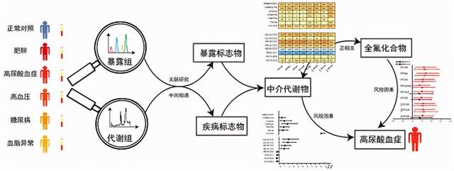 研究发现化学污染物暴露与慢性疾病风险间的新关联