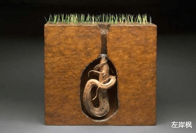 左岸枫 新挖的水塘，为何不久后就能有鱼？原来是有科学依据的