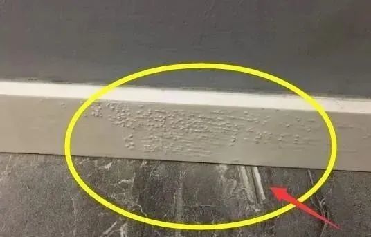 刚搬新家就痛哭哀嚎！留下赤裸裸的30条装修遗憾，钱烧光、房已毁