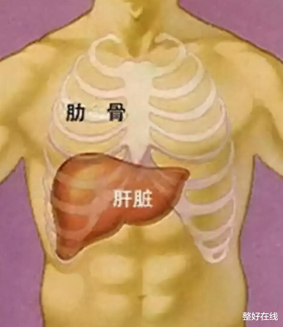 肝硬化|肝硬化患者在B超中的特征有哪些？专家直言：导致肝硬化成因有3种