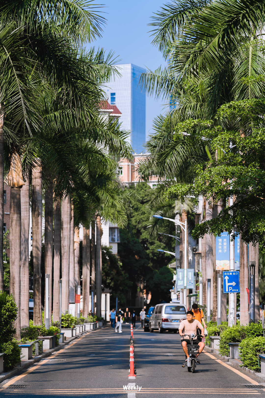 一马平天下 桂庙新村，不想说再见！