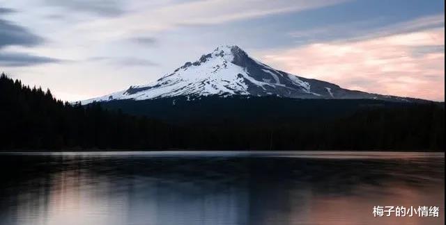 梅子的小情绪|陈志朋参加综艺，却被“剩”下，网友：果然，不红是有原因的