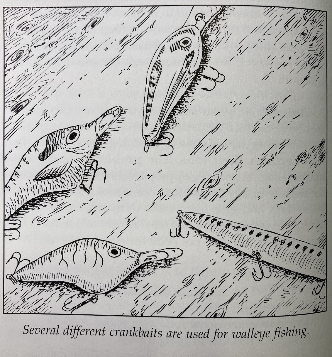 |「钓鱼与人文意识」关心重视基础要求  美国垂钓和管理的智慧