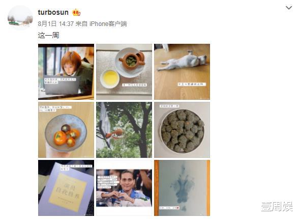 孙俪|孙俪新剧热播颜值下滑，演技浮夸引热议，网友：看着挺吓人