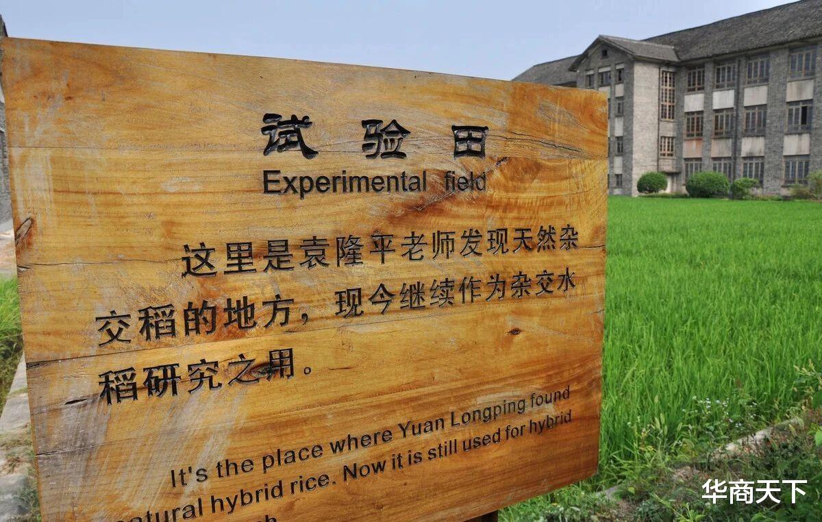 华商天下 神仙归去，天地相感！珍惜碗里的粮食，就是对袁老最好的纪念！