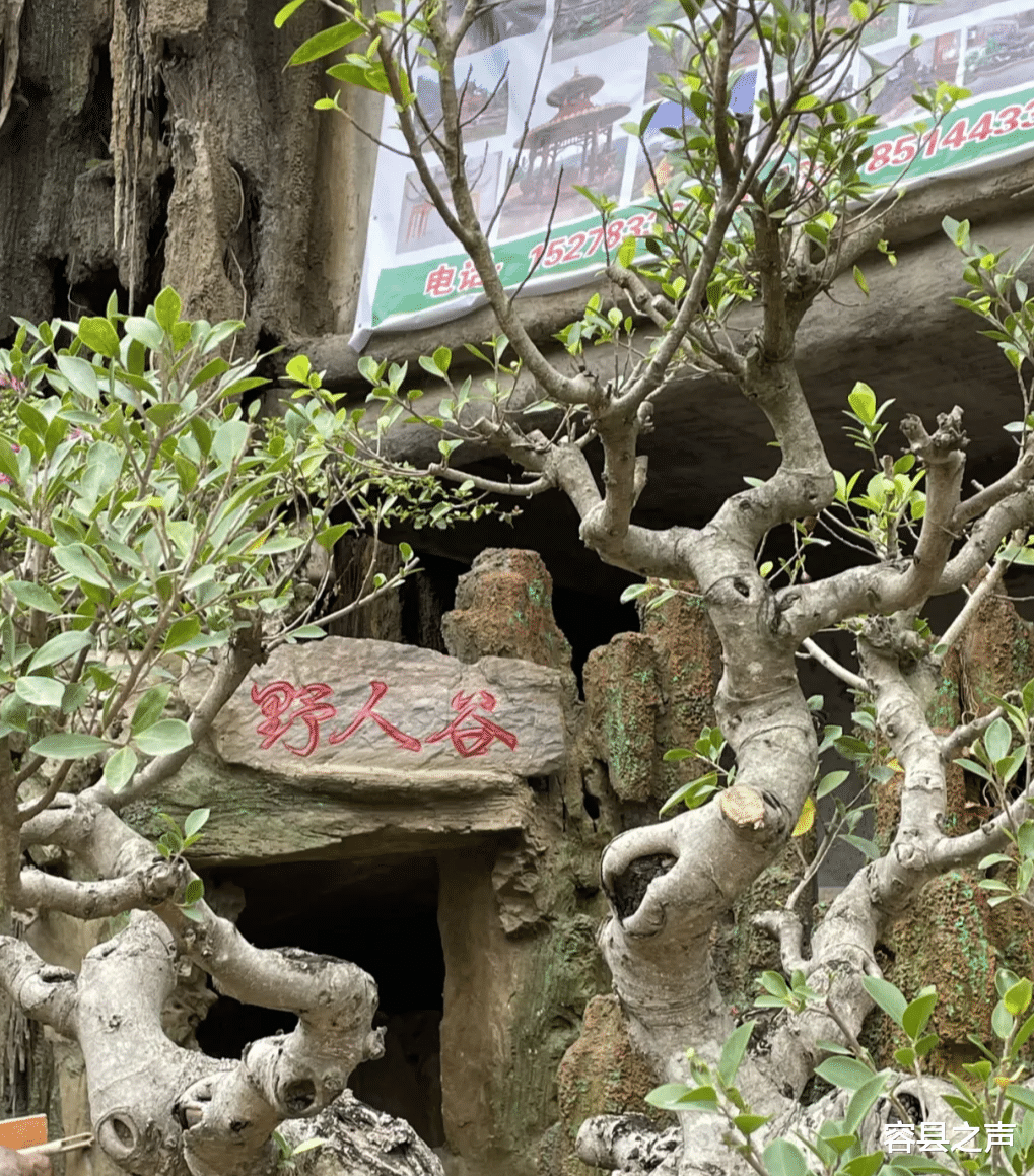 容县之声 广西一农民斥资1500万建了栋“怪楼”！最多一天上万人去参观