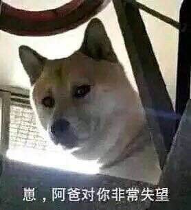 小米科技|小米12提前“发布”！这配置把我看傻了