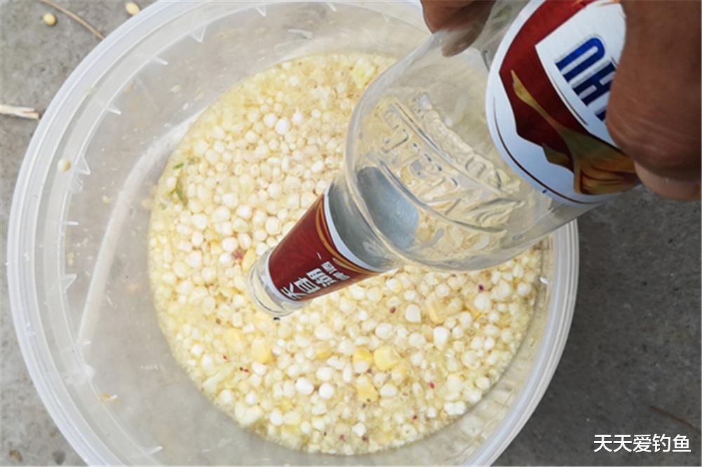 九江|钓鱼技巧：饵料使用的基本常识，这是钓鱼人的必修课！