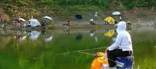 水库|四川一男子在40年的水库盘黑坑，意外收获“米级”鲢鳙王，羡慕吗