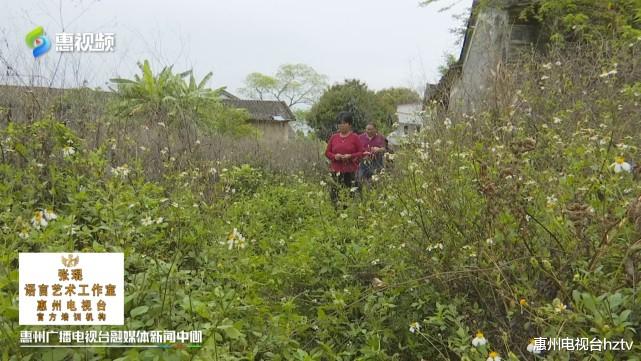 东安|惠州：水口原村民擅自砌墙圈地 政府回应正依法要求拆除违建