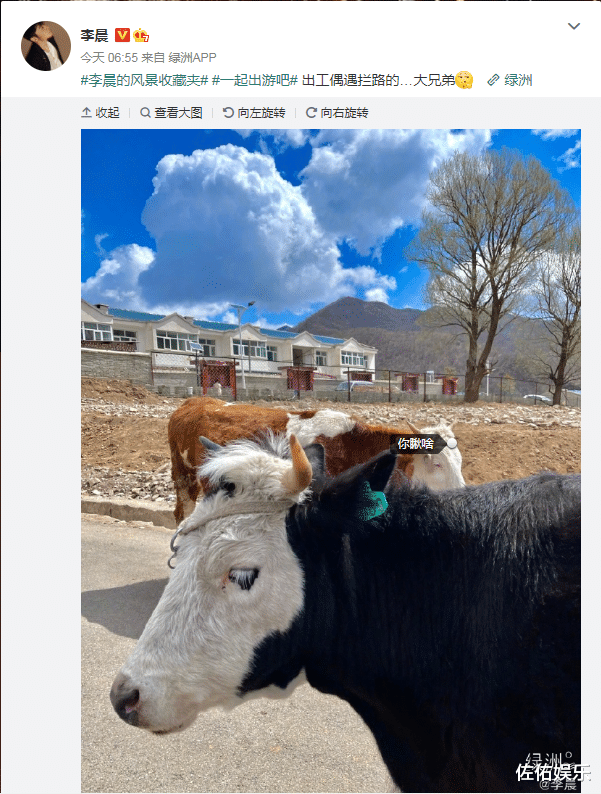 范冰冰|隔空力挺？范冰冰感慨世界不公平后，李晨发文晒照似有深意