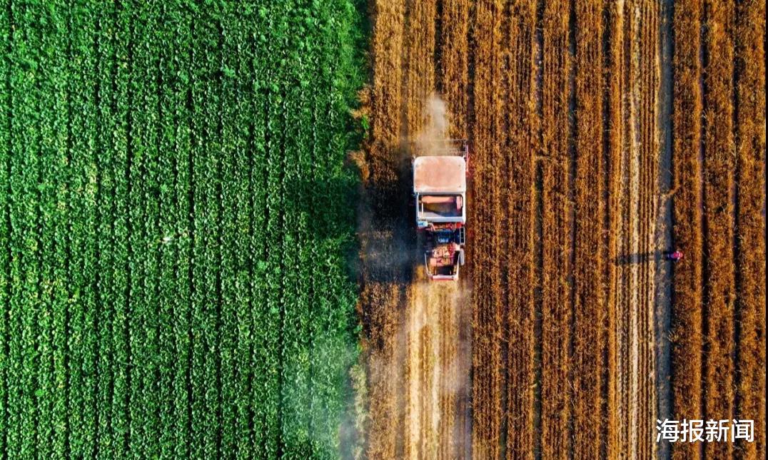 海报新闻 潍坊农业总产值首破千亿 十三五收官交出漂亮答卷