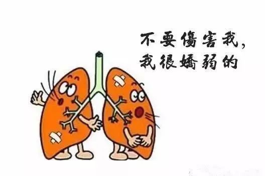 咳嗽|百病皆由痰作祟!学会这招一降一宣一敛,调畅肺气,赶走痰浊!