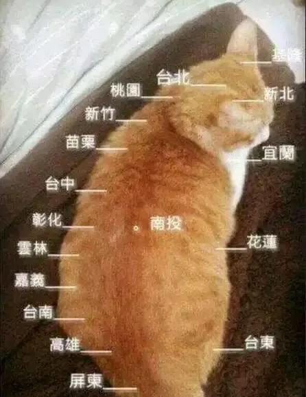 清浅微笑的我|台湾岛地形太好了！