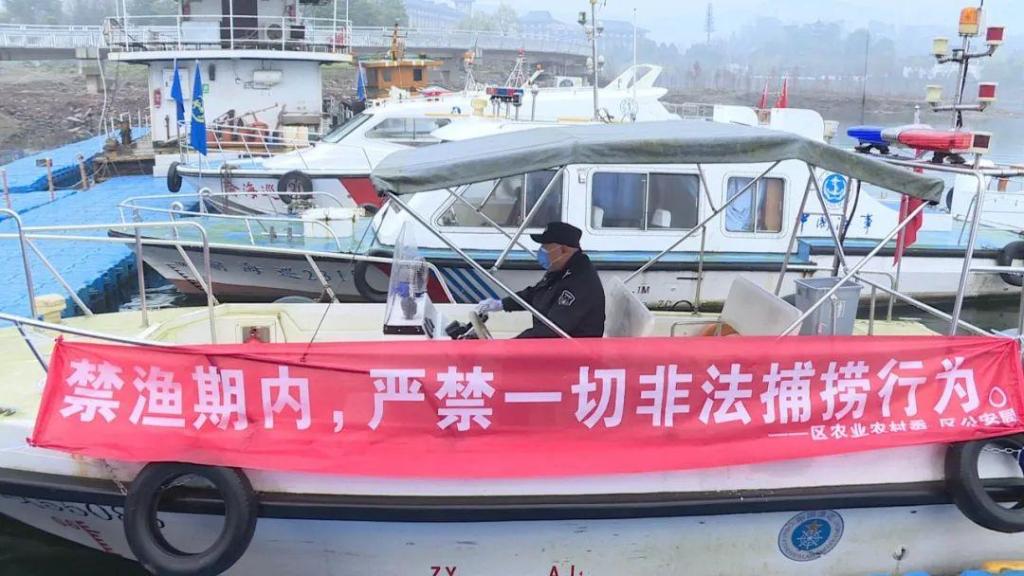 支付宝 冤不冤？四川一农民在自家鱼塘捕鱼，犯“非法捕捞罪”被判刑3个月！