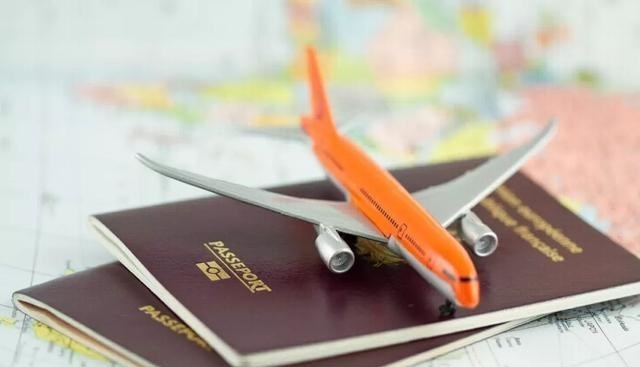 为娃学画丫|国内富豪移民带走百万资产，“国家队”出手整治，今后移民或变难